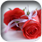 Red Flower Wallpaper icon