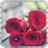 Red Roses Wallpaper icon