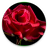 Rose Bloom Live Wallpaper icon