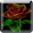 Roses Changecolor LiveWP icon