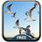 Seagulls Keyboard icon