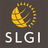 SLGI 2016 icon