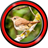 Singing Birds Live Wallpapers icon