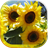 Sunflower Magic live wallpaper icon