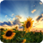 Sunflowers Wallpaper icon