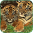 Tigers Live Wallpaper icon