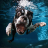 Descargar Underwater Dogs Live Wallpaper
