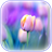 Tulips Wallpaper APK Download