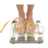 Ultimate Weight Loss Guide icon