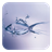 Water Fish icon
