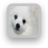 White Dog Wallpaper icon