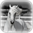 White Horse Wallpaper icon