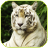 Descargar White Tiger Cute WPs