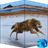 Wolf HD Video LWP icon