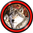 Wolf Live Wallpapers icon