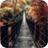Wooden walkway. HD wallpapers icon