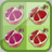Fruit Memory icon