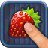 Fruit Sorter icon