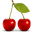 Fruit Swaper icon