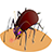 Funny Insect APK Download