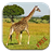 Giraffe version 1.0