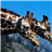 Giraffe Jigsaw Puzzle icon