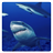 Grot Sharks logic game icon