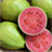 Guava Puzzle icon