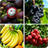 Guess The Fruit icon