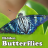 Hidden Butterflies icon