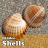 Hidden Shells icon