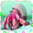 Hermit crab Jigsaw Puzzles icon