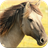 Horse Puzzles icon