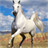 Horse Jigsaw Puzzles icon