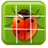 Insect Jigsaw Puzzles icon