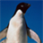 iSlider Penguins icon