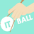 IT Ball icon