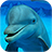 Dolphins Puzzle Game icon