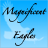 Magnificent Eagles Area icon