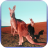 Kangaroo Jigsaw Puzzles icon