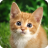 Puzzle - Kittens icon