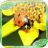 Ladybug Jigsaw Puzzles icon