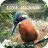 Aviary Live Jigsaw icon