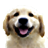 Memo Puppies icon