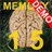 Memory 15 Demo icon