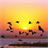 Nature Puzzle: Sunset D icon