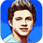 Niall Puzzle icon