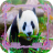 Panda Jigsaw Puzzles icon