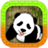 Panda Jump for Kids icon
