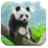 Panda Puzzle Pop icon